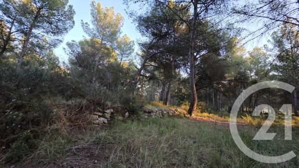 Terrain à vendre  5245 m2 ST MITRE LES REMPARTS - 13