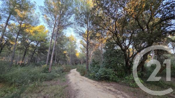 Terrain à vendre  5245 m2 ST MITRE LES REMPARTS - 13