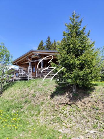 Chalet avec grande terrasse