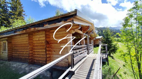 Chalet avec grande terrasse