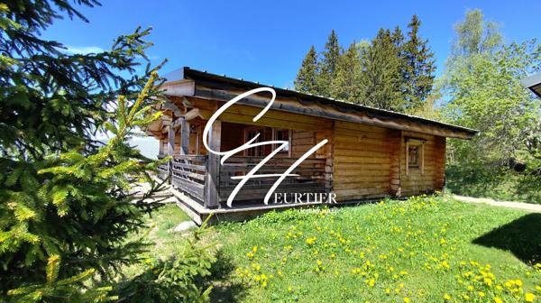 Chalet avec grande terrasse