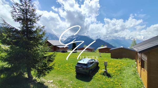 Chalet avec grande terrasse