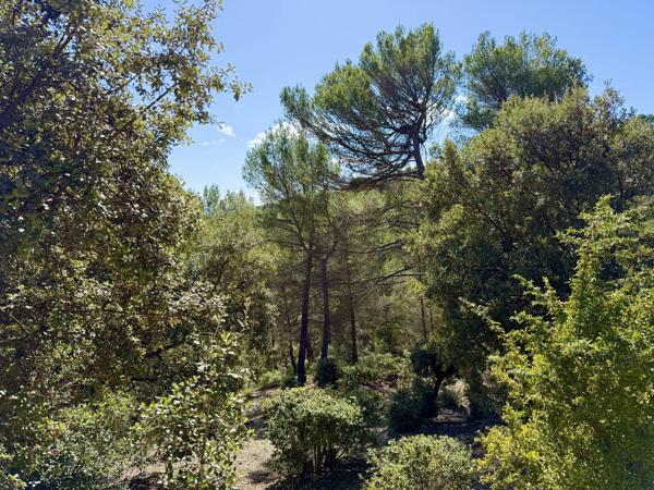 Belle villa dans le calme, piscine, vue