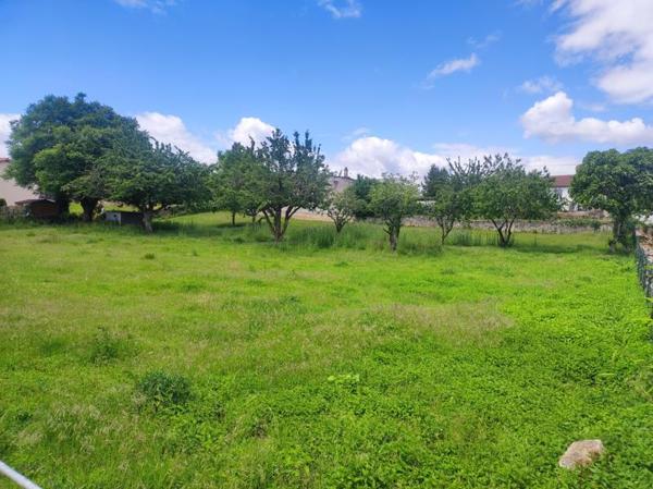 Terrain à vendre 40 000 € Saint-Martin-de-Saint-Maixent 2148 m² DPE