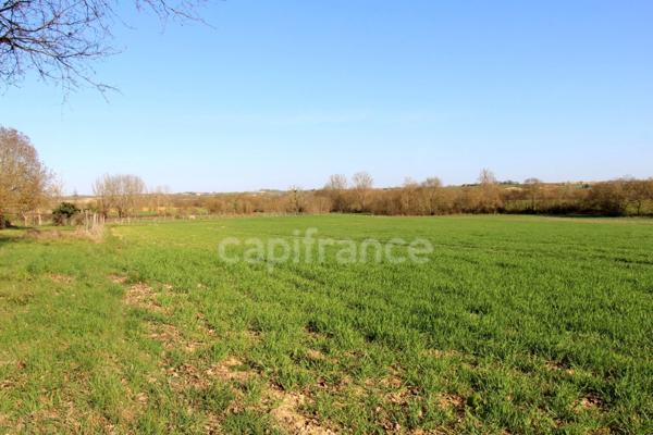 Propriété agricole avec maison de 205 m2, grange de 415 m2 et ancien séchoir à tabac de 270 m2 à vendre à FLEURANCE (32), sur terrain de 15 800 m2