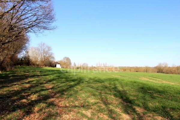 Propriété agricole avec maison de 205 m2, grange de 415 m2 et ancien séchoir à tabac de 270 m2 à vendre à FLEURANCE (32), sur terrain de 15 800 m2