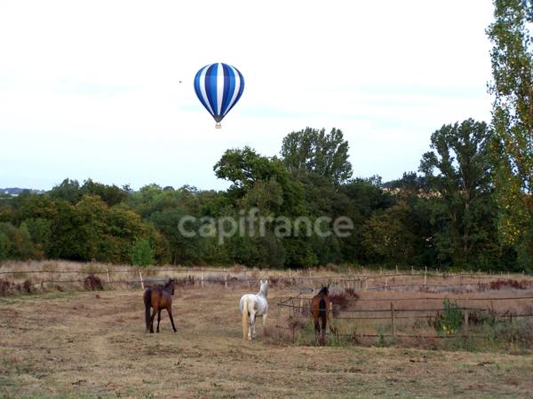 Propriété agricole avec maison de 205 m2, grange de 415 m2 et ancien séchoir à tabac de 270 m2 à vendre à FLEURANCE (32), sur terrain de 15 800 m2