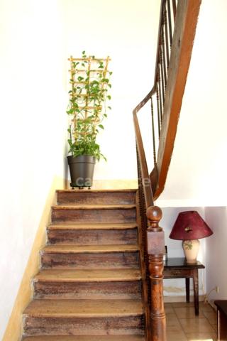 Propriété agricole avec maison de 205 m2, grange de 415 m2 et ancien séchoir à tabac de 270 m2 à vendre à FLEURANCE (32), sur terrain de 15 800 m2