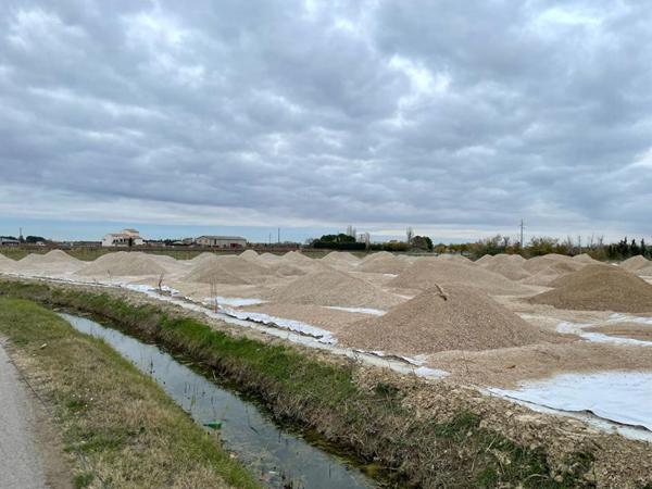 Terrain à vocation agricole stabilisé et sécurisé 5000 m2