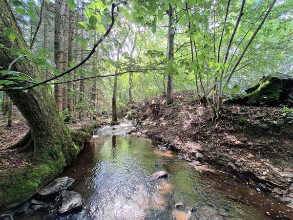 À vendre Maison 5 pièces - La Chapelle-aux-bois 88240