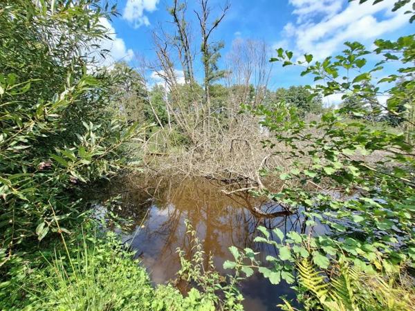 À vendre Maison 5 pièces - La Chapelle-aux-bois 88240