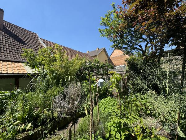 3%COM Maison avec terrasse et jardin au centre de Hochfelden  Hochfelden (67270)