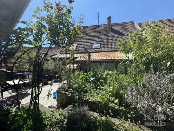 3%COM Maison avec terrasse et jardin au centre de Hochfelden  Hochfelden (67270)