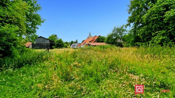 Maison avec dépendances + de 8000 m² de terrain 14 minutes de HESDIN LA FORET