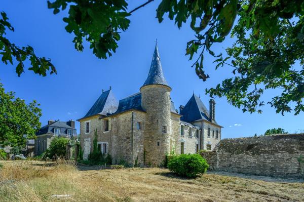 Vente Manoir Pluneret 20 Pièces 700 m²