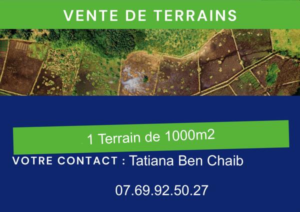 Terrain - 1000 m²