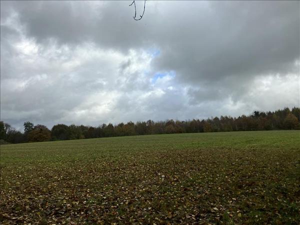 Terrain à vendre |  Saint-Martin-Terressus |  93561 m²