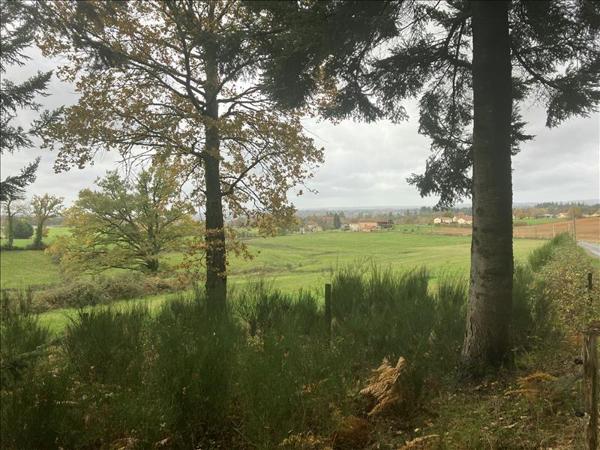 Terrain à vendre |  Saint-Martin-Terressus |  93561 m²