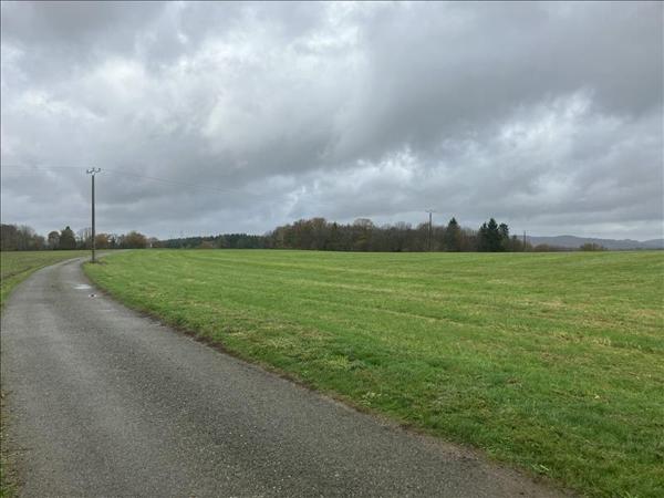 Terrain à vendre |  Saint-Martin-Terressus |  93561 m²