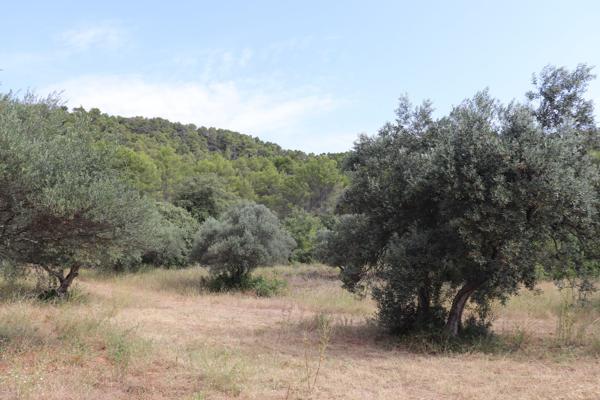 Vente Maison provençale de luxe Salernes 10 Pièces 236.58 m²