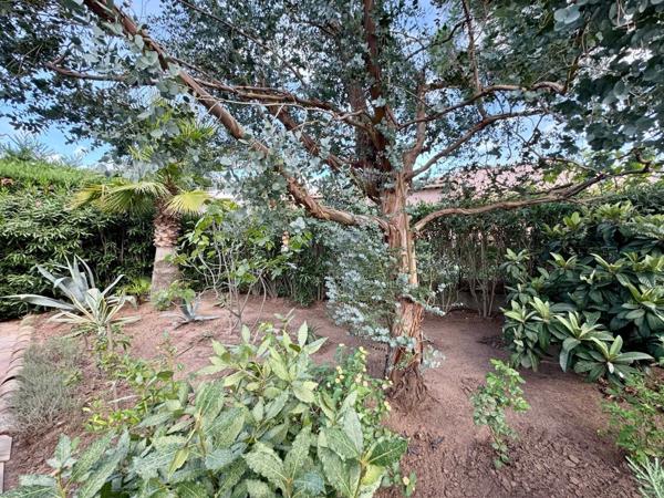 Var frejus/puget-sur-Argens - villa individuelle sur 800m2 avec piscine + garage/ annexe de25m2