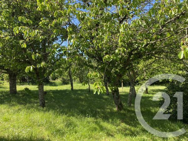 Maison à vendre  12 pièces - 294 m2 BRETIGNOLLES SUR MER - 85