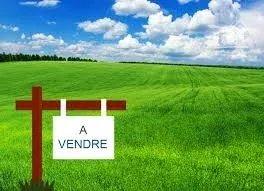 🏡 À Vendre : Terrain Constructible de 793 m² à Saint-Germain-du-Puch (33750)