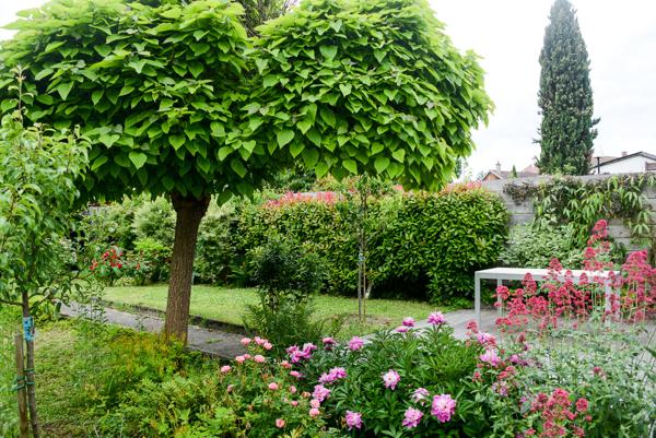 Riedisheim (68400) AU CENTRE DE RIEDISHEIM MAISON DE 260M² 1022 M² DE TERRAIN CLOS ET ARBORE