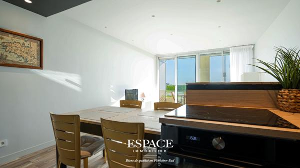 A vendre à Concarneau vue mer appartement contemporain 2 pièce(s) 46.47 m2 en rez de jardin