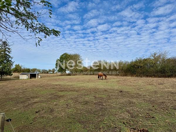 A vendre - Maison de campagne avec 7800 m2 de terrain - Le Voide - D6112
