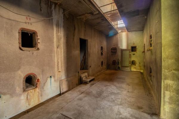 Vente murs / Local Industriel / Bâtiment