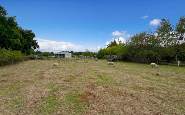 Terrain à vendre    Saint-Astier