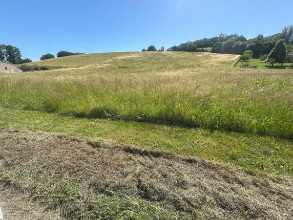 « Offrez-vous un espace rare avec ce magnifique terrain de 1291 m², idéal pour concrétiser votre projet de vie dans un environnement privilégié. »