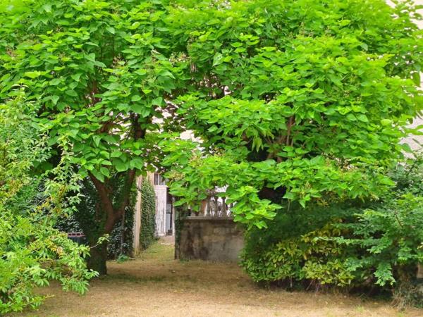 Maison à vendre à Romans-sur-Isère (26100)