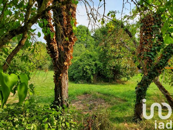 Maison à vendre 8 pièces 214 m² Saint-Sauvier