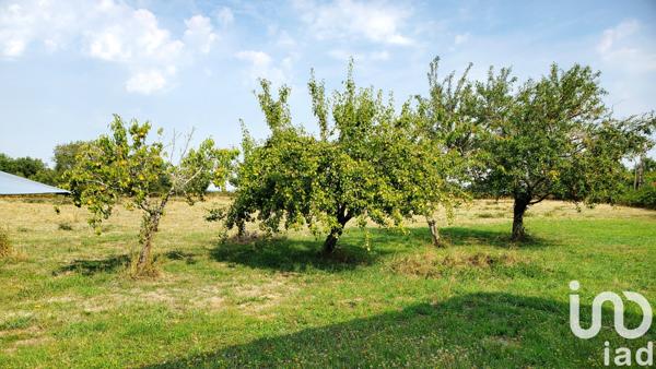 Maison à vendre 8 pièces 214 m² Saint-Sauvier