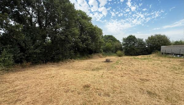 A VENDRE - Sainte Foy de Peyrolieres - Terrain constructible de 1213m² au calme