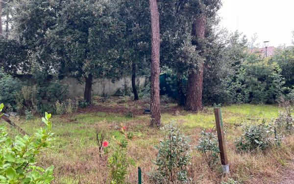 Terrain à vendre    Le Grand-Village-Plage