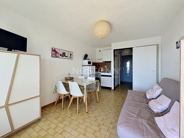 LE GRAU DU ROI - STUDIO CABINE 20.49 M² EN BON ÉTAT - SECTEUR SEAQUARIUM