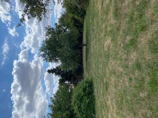 Terrain à vendre |  Lavoux |  1019 m²