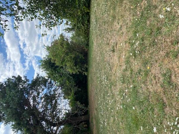 Terrain à vendre |  Lavoux |  1019 m²