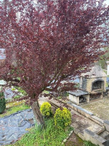 Maison individuelle à vendre à Paray-le-Monial en Saône-et-Loire (71600), ref : M-P-CA   
NORD