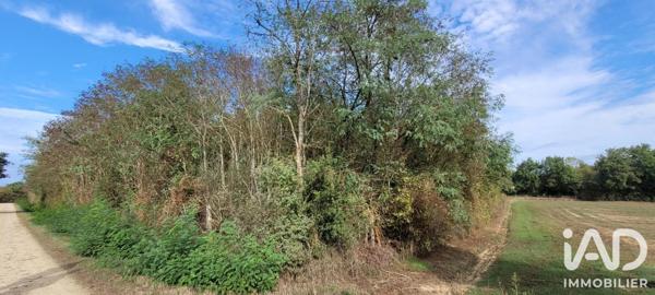 Terrain à vendre 12 770 m² Aizenay