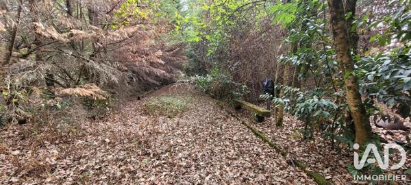 Terrain à vendre 12 770 m² Aizenay