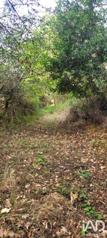 Terrain à vendre 12 770 m² Aizenay