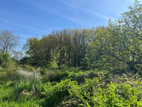 Longère Saint Gervais 4 pièce(s) 140 m2