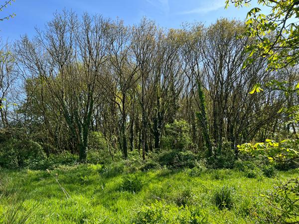 Longère Saint Gervais 4 pièce(s) 140 m2