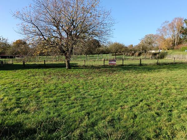 Terrain à LE VAL-SAINT-PERE, 50300 - 1250m²