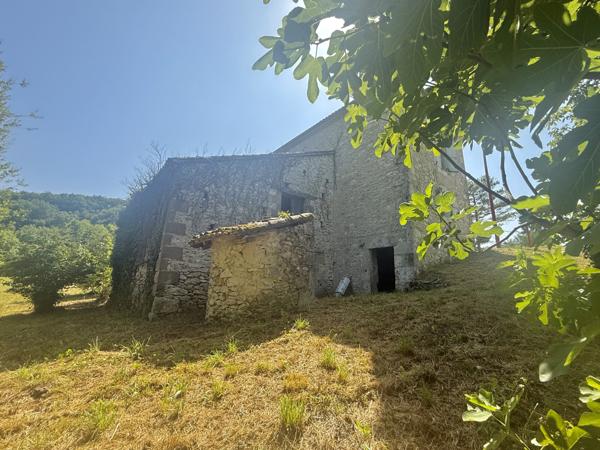 Montaigu-de-Quercy (82150) MONTAIGU DE QUERCY Maison en pierre au village avec 2 chambres, dépendants et 4033m2 de te