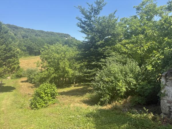 Montaigu-de-Quercy (82150) MONTAIGU DE QUERCY Maison en pierre au village avec 2 chambres, dépendants et 4033m2 de te